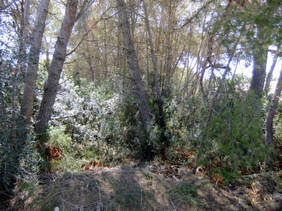 Plot for sale in Javea