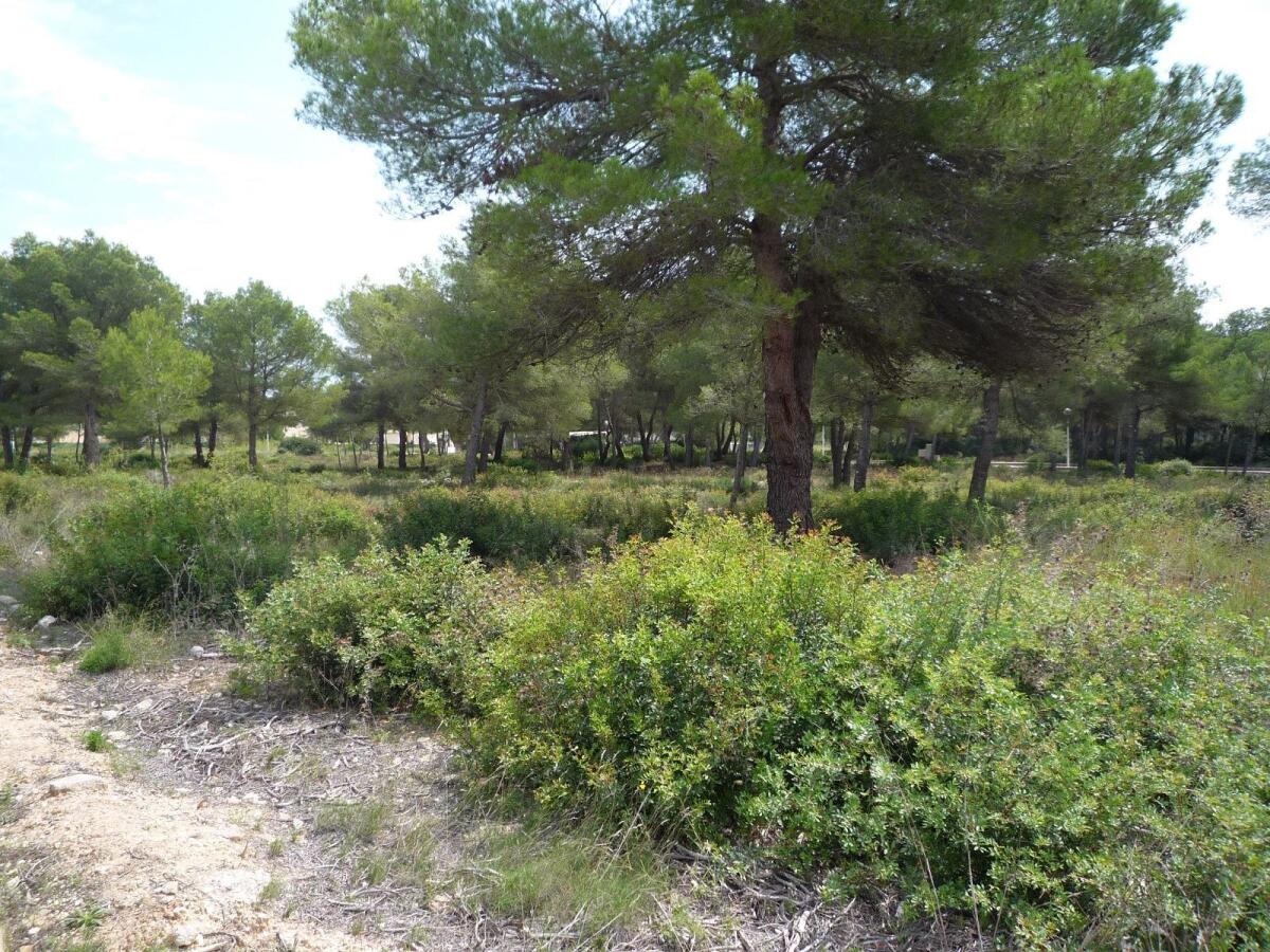 Plot for sale in Javea La Cala