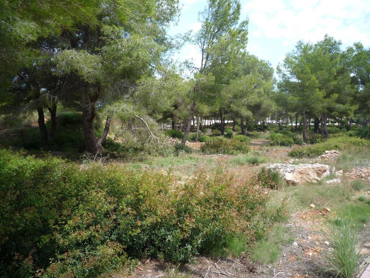 Plot for sale in Javea La Cala
