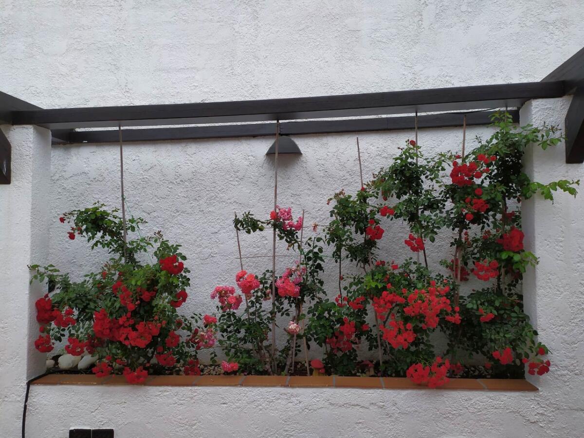Villa 5 Bedrooms for sale in Moraira Moravit